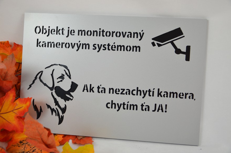 Tabuľka 3D Objekt monitorovaný kamerovým systémom/Pozor pes (30x20cm)